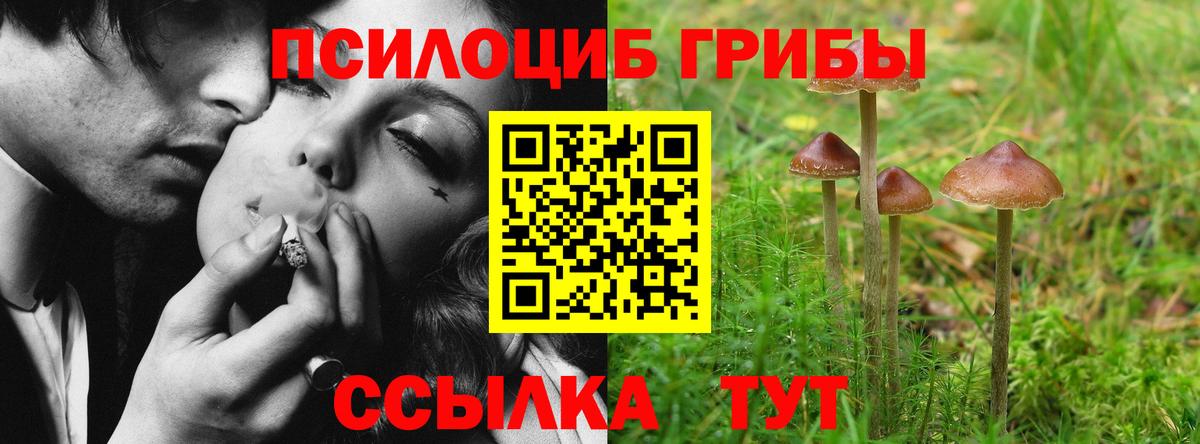 Галлюциногенные грибы GOLDEN TEACHER  купить наркотик  Улан-Удэ  Вход с VPN 